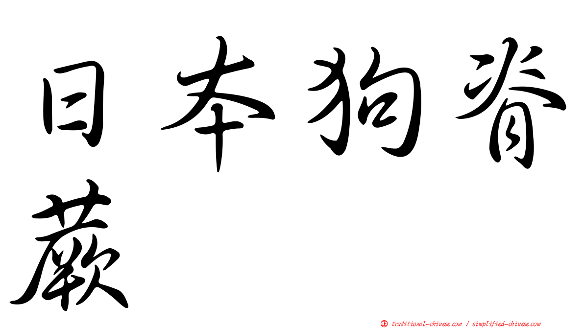 日本狗脊蕨