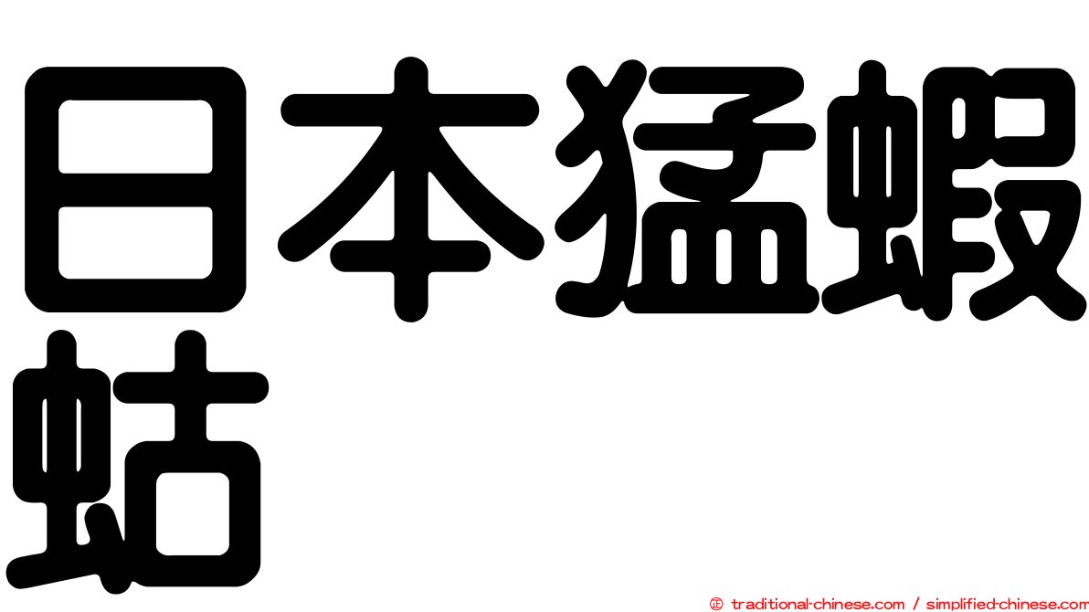 日本猛蝦蛄