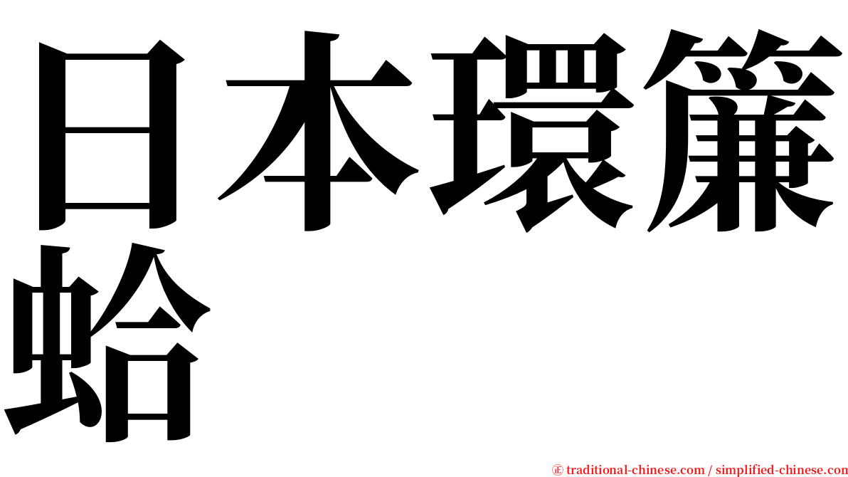 日本環簾蛤 serif font