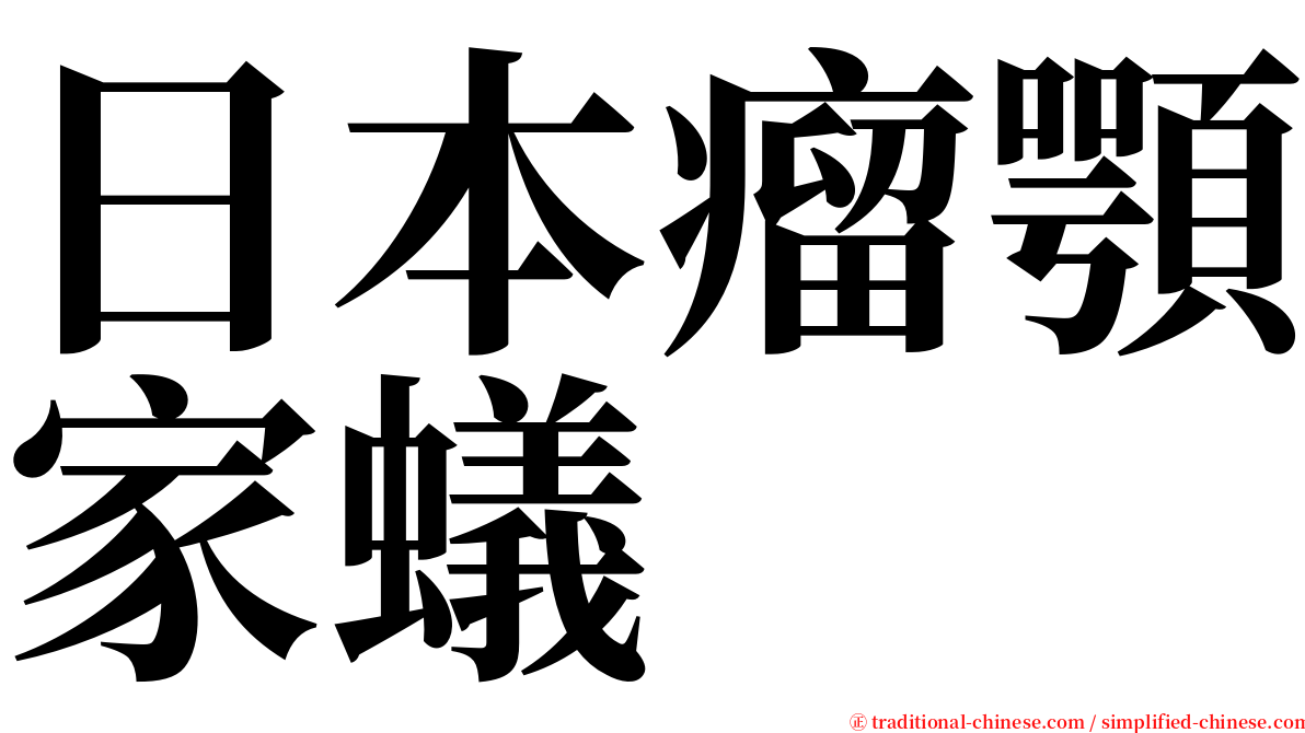 日本瘤顎家蟻 serif font