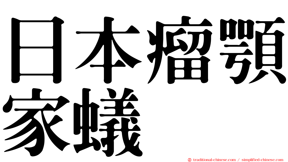 日本瘤顎家蟻