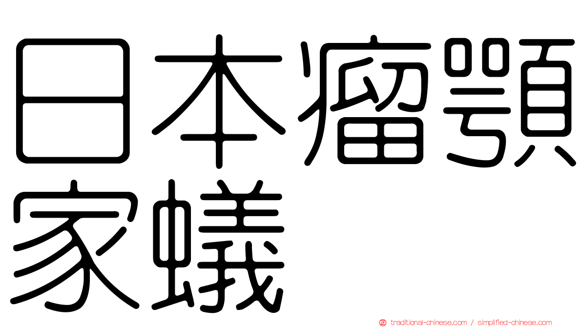 日本瘤顎家蟻