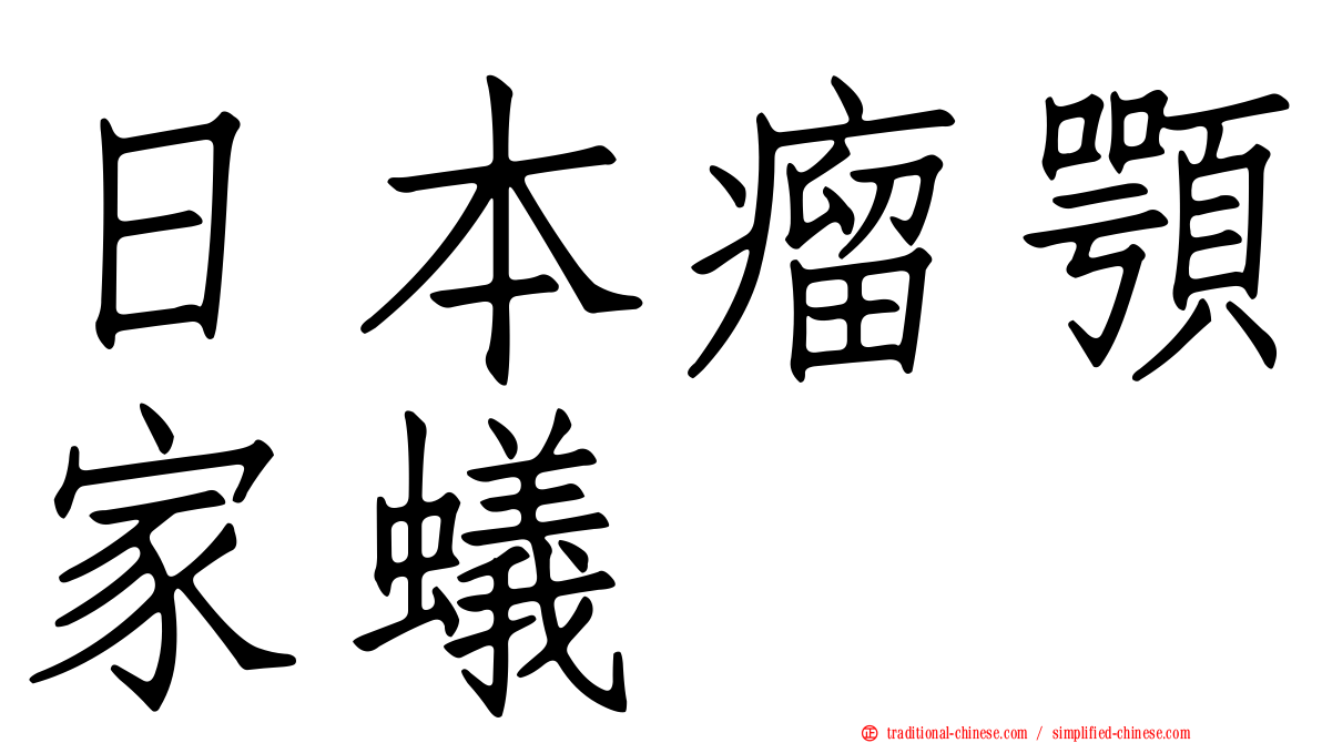 日本瘤顎家蟻