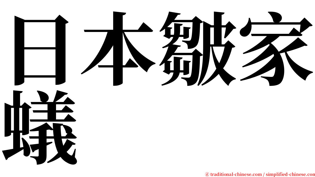 日本皺家蟻 serif font