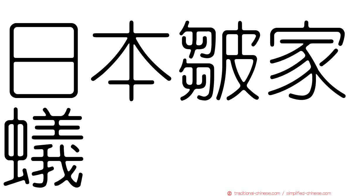 日本皺家蟻