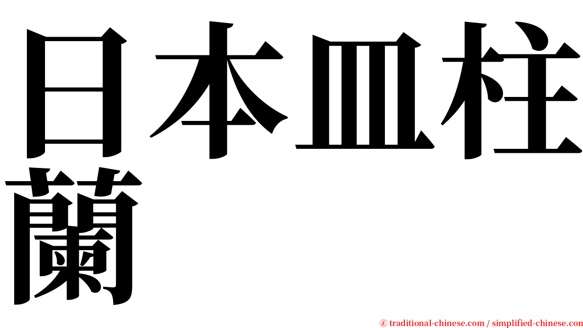 日本皿柱蘭 serif font