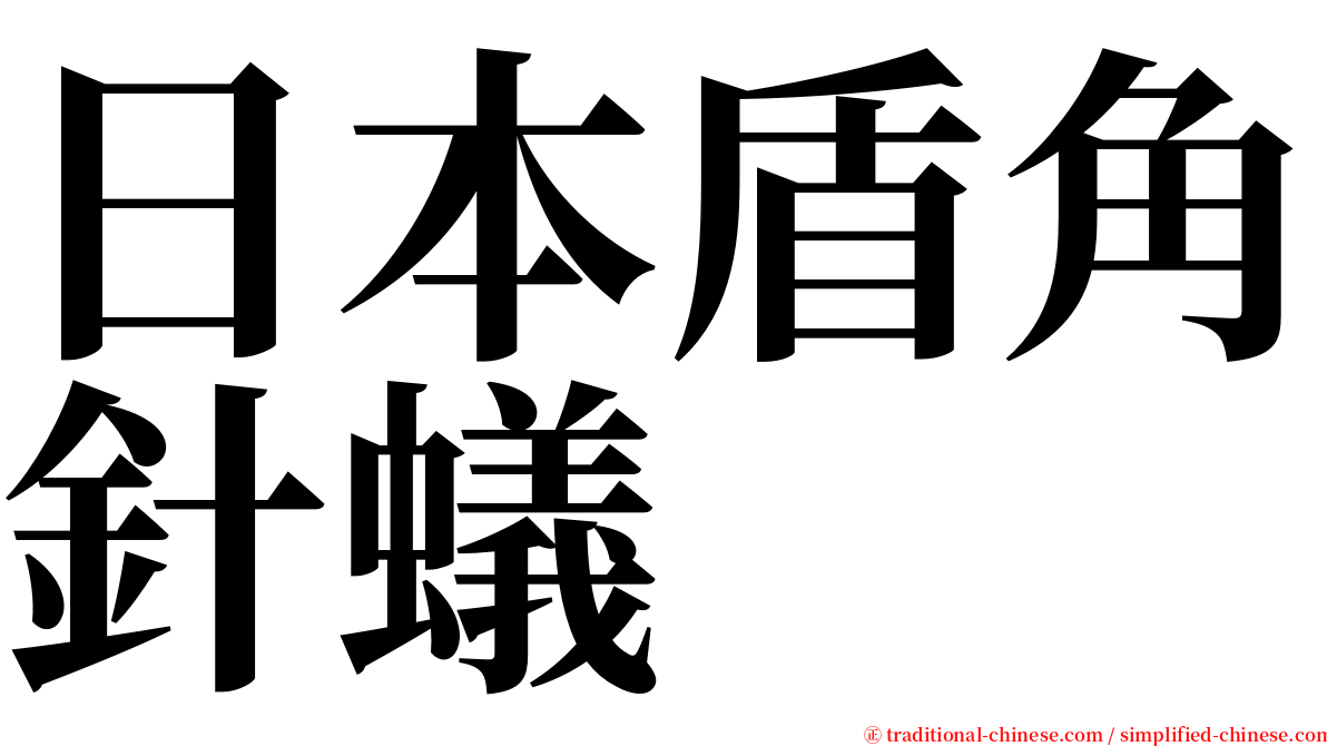 日本盾角針蟻 serif font