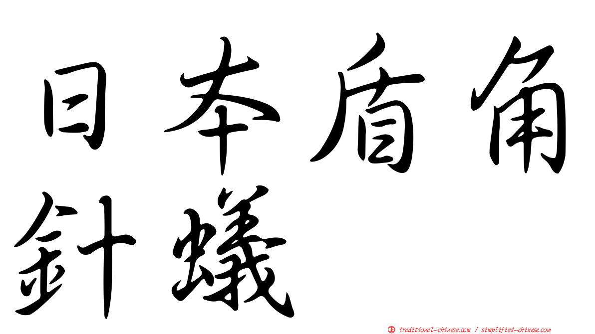 日本盾角針蟻