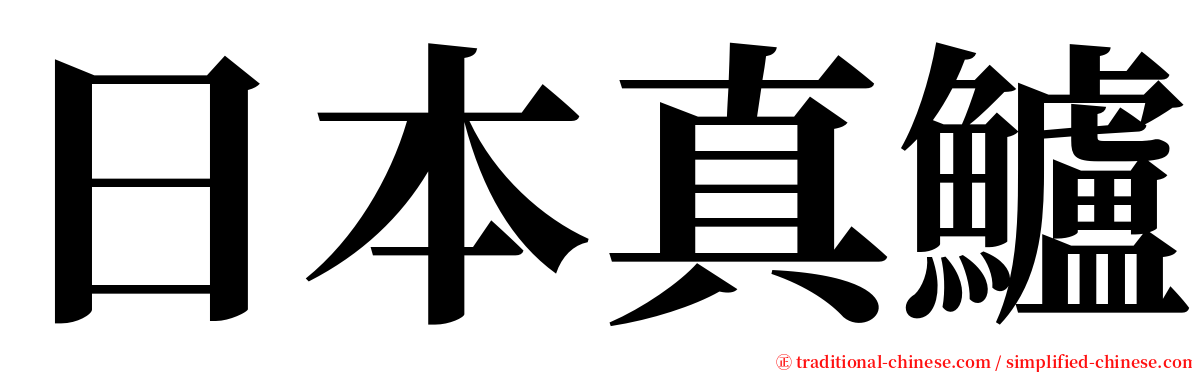 日本真鱸 serif font