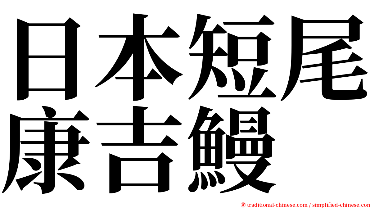日本短尾康吉鰻 serif font