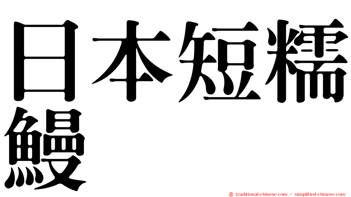 日本短糯鰻