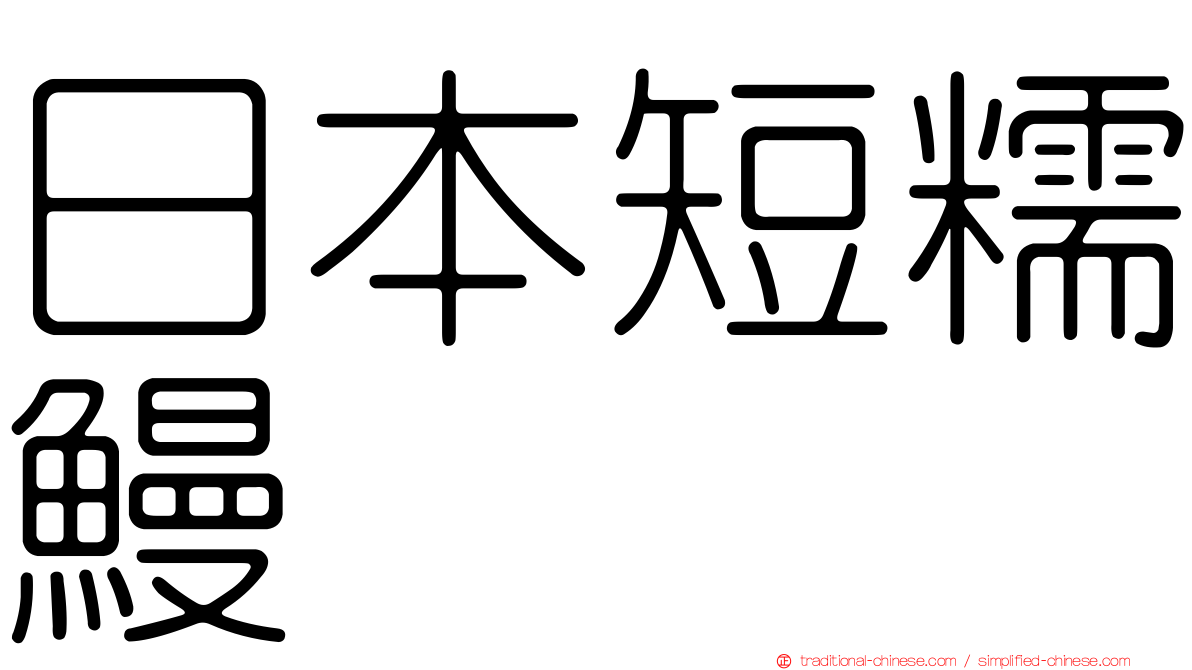 日本短糯鰻