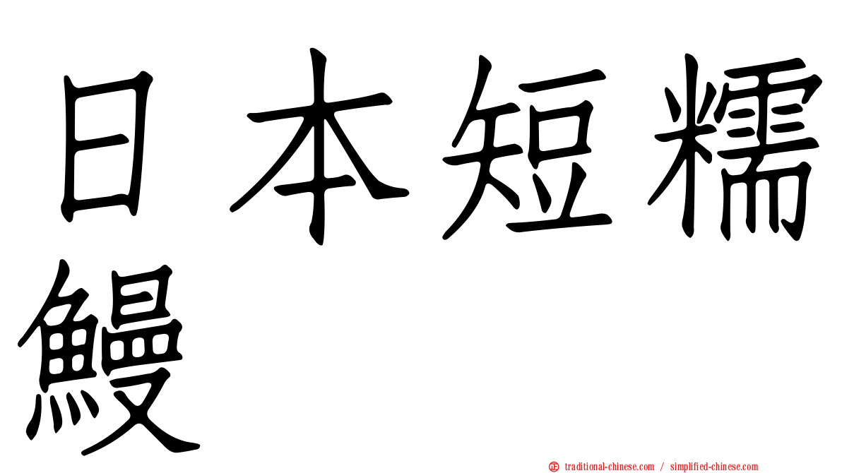 日本短糯鰻