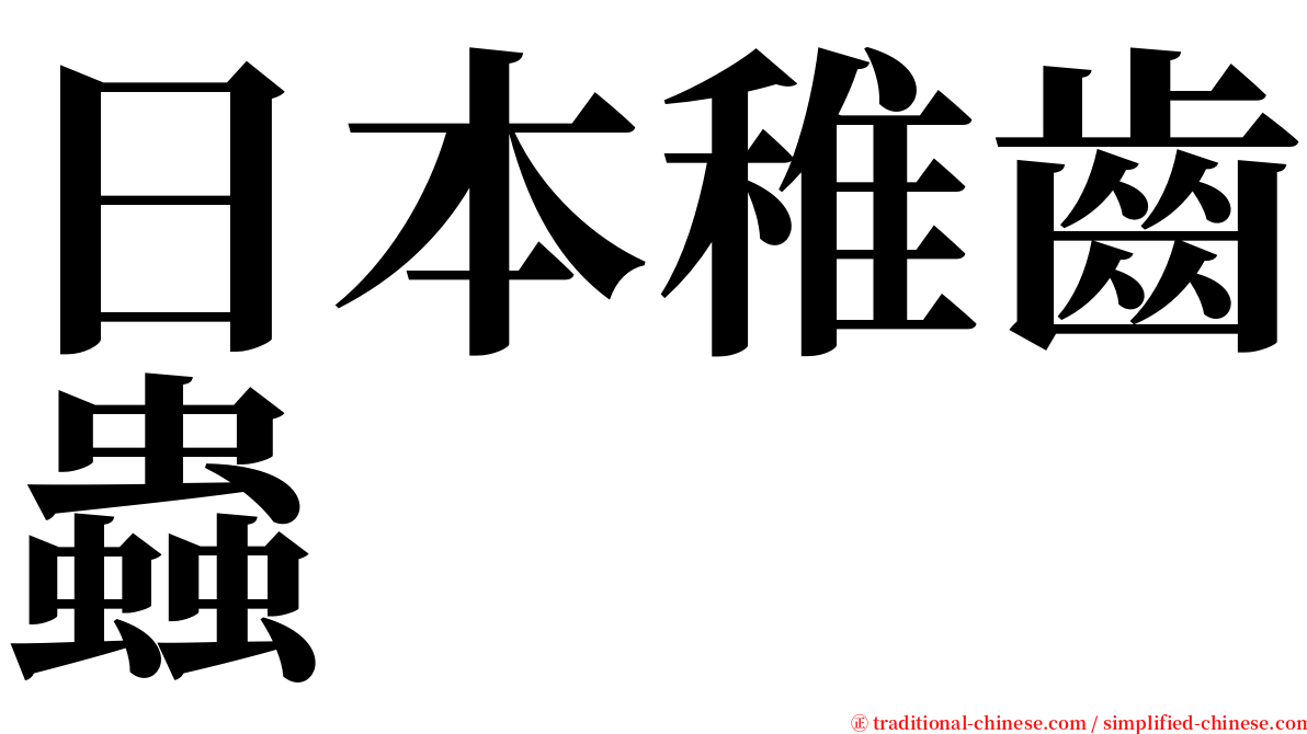 日本稚齒蟲 serif font