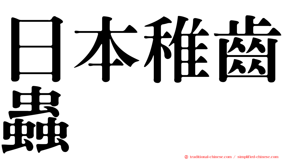 日本稚齒蟲