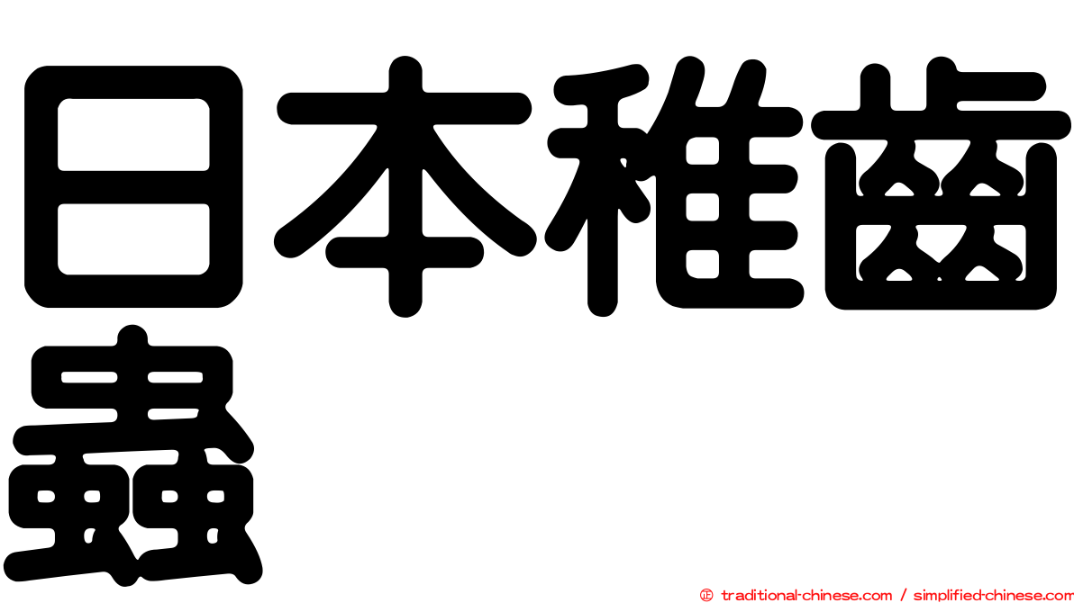 日本稚齒蟲