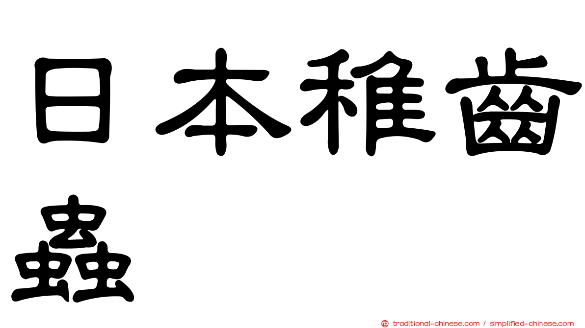 日本稚齒蟲