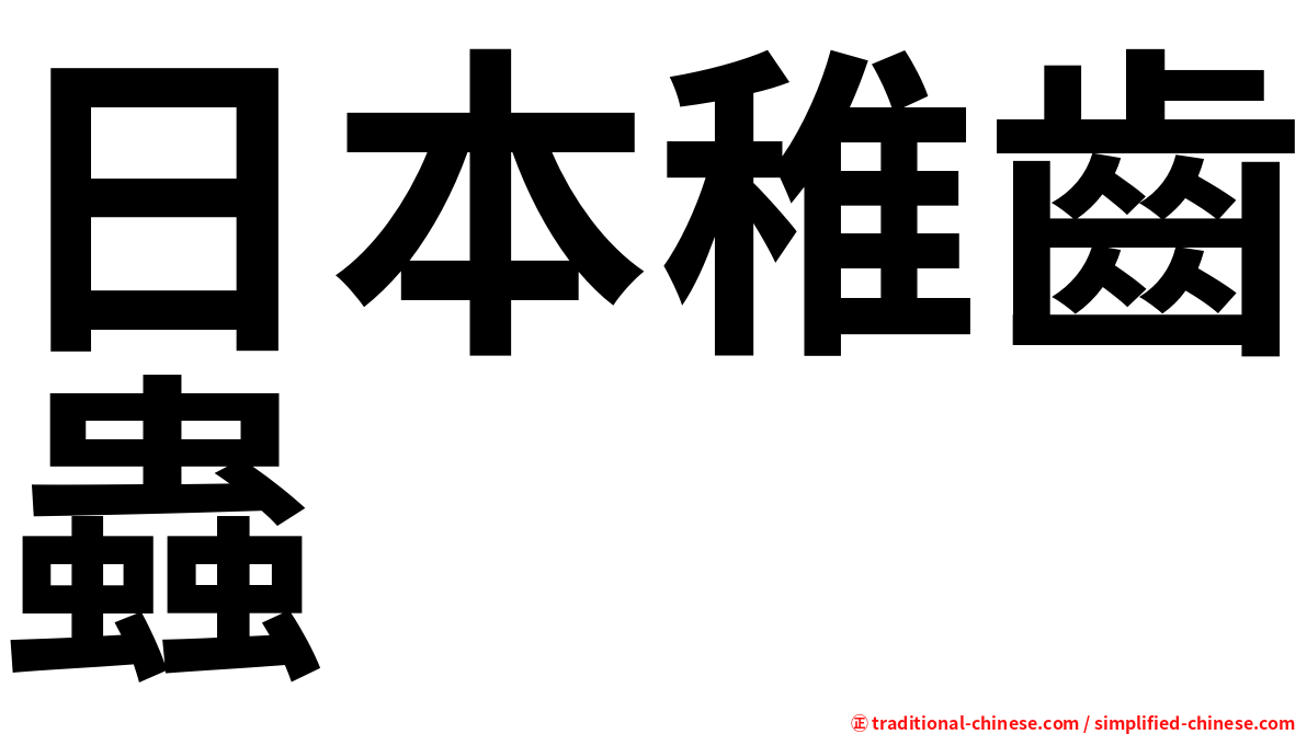 日本稚齒蟲