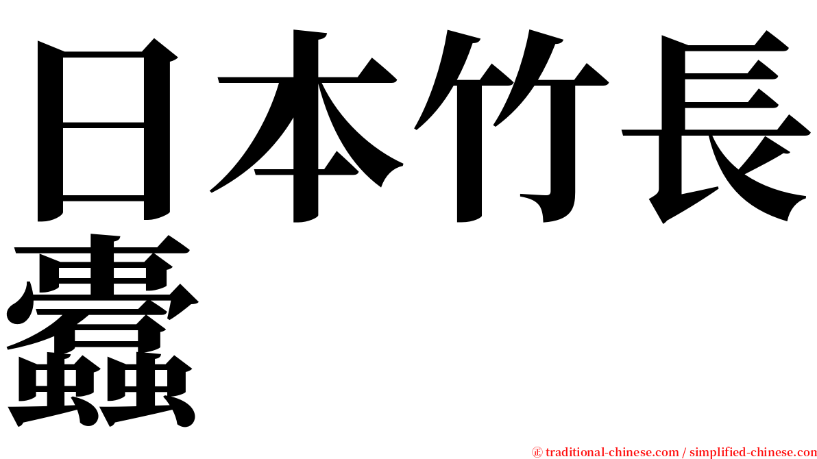 日本竹長蠹 serif font