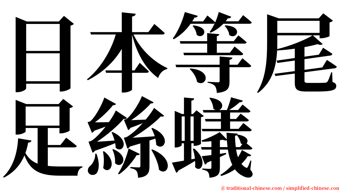 日本等尾足絲蟻 serif font