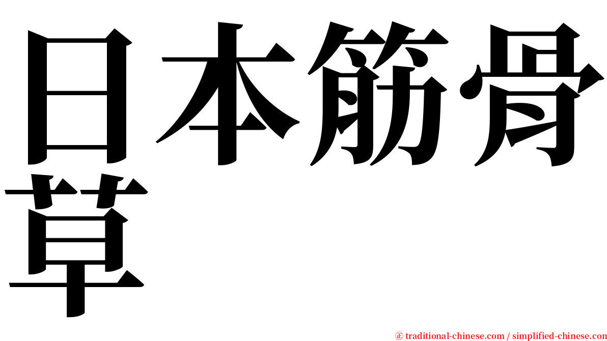 日本筋骨草 serif font