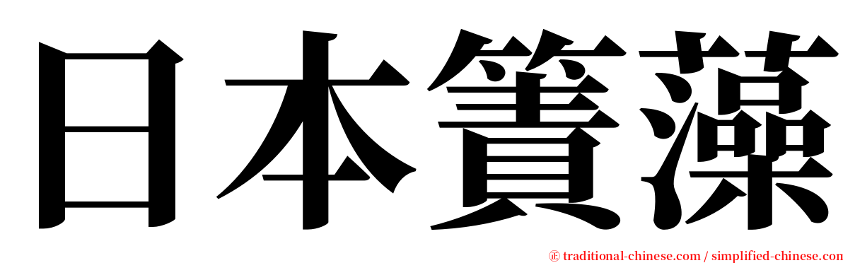 日本簀藻 serif font