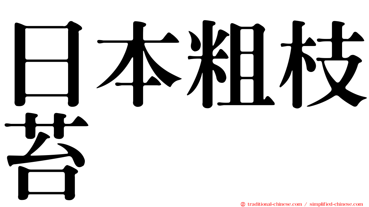 日本粗枝苔