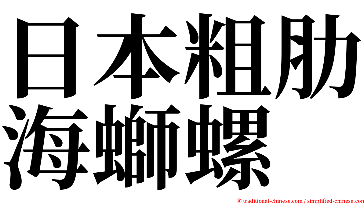 日本粗肋海螄螺 serif font