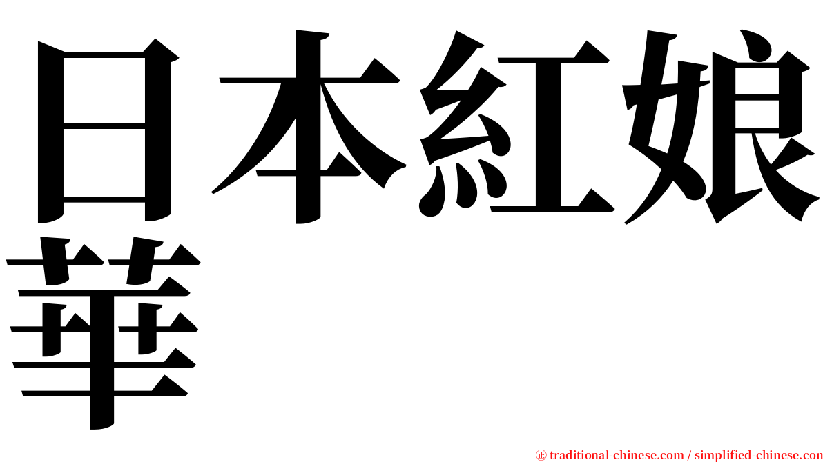 日本紅娘華 serif font