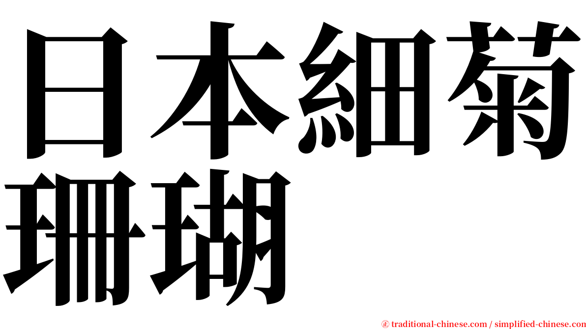 日本細菊珊瑚 serif font