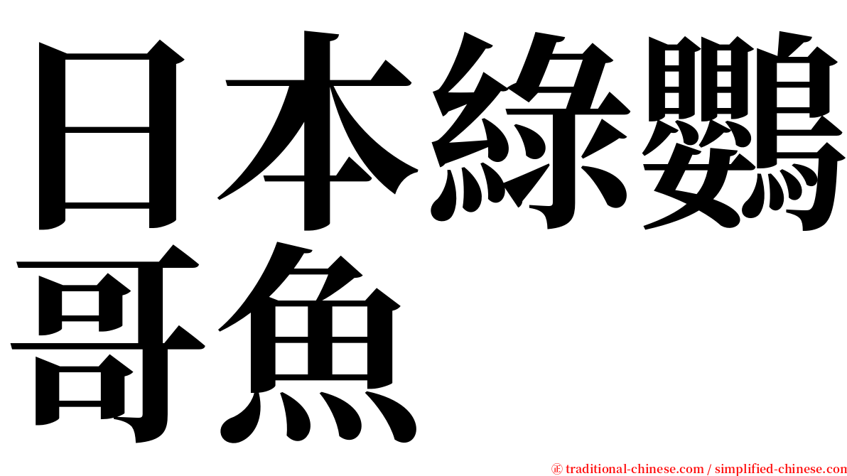 日本綠鸚哥魚 serif font