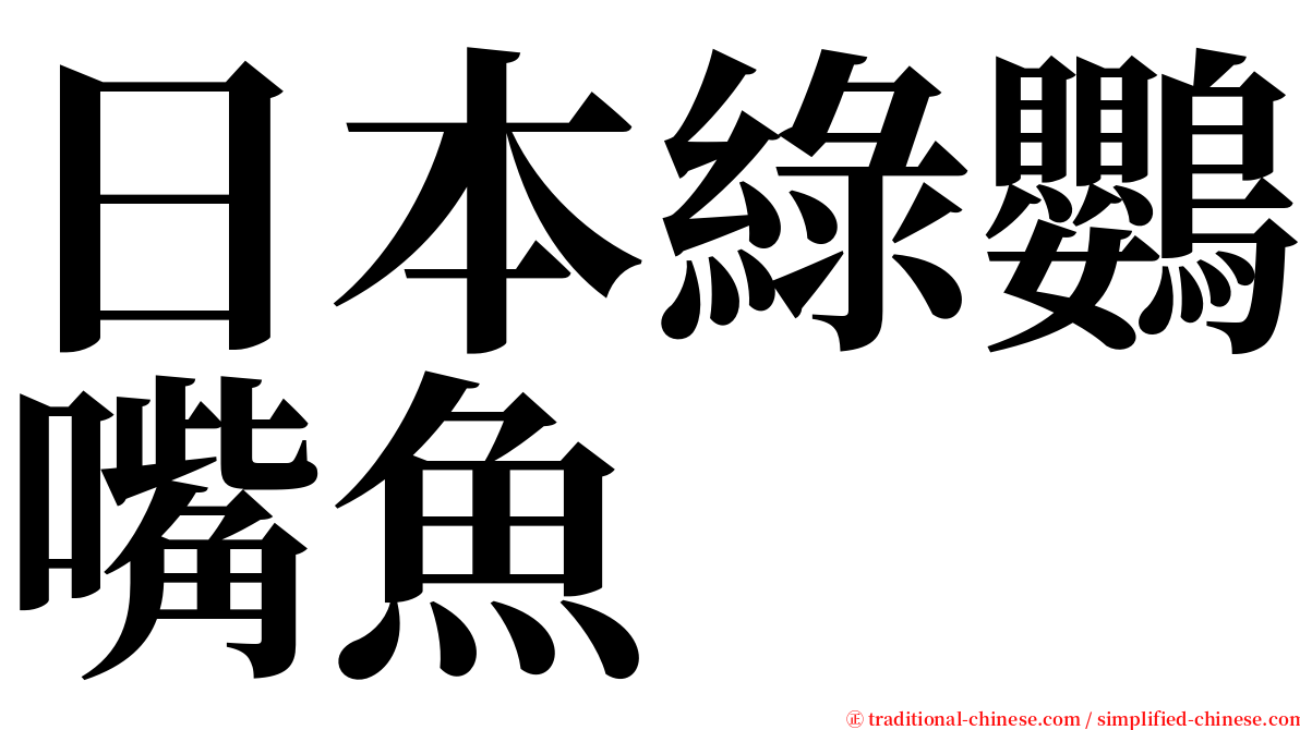 日本綠鸚嘴魚 serif font