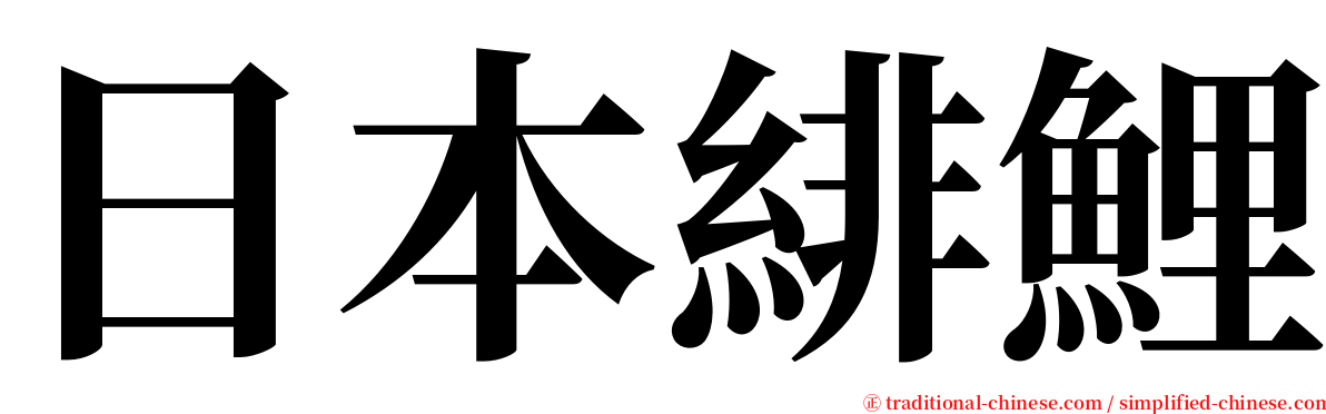 日本緋鯉 serif font