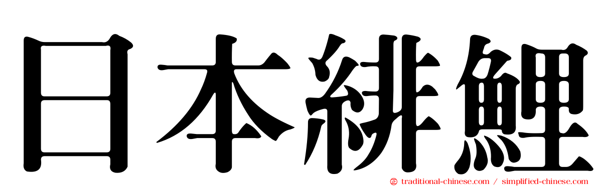 日本緋鯉