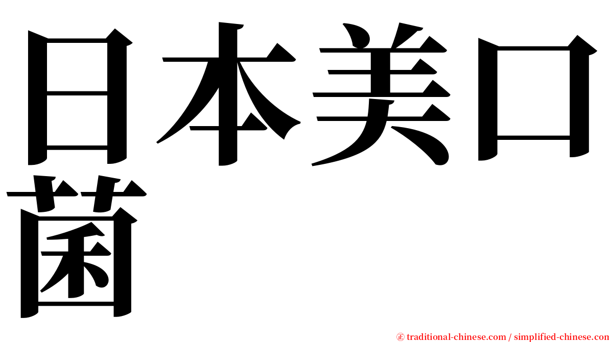 日本美口菌 serif font