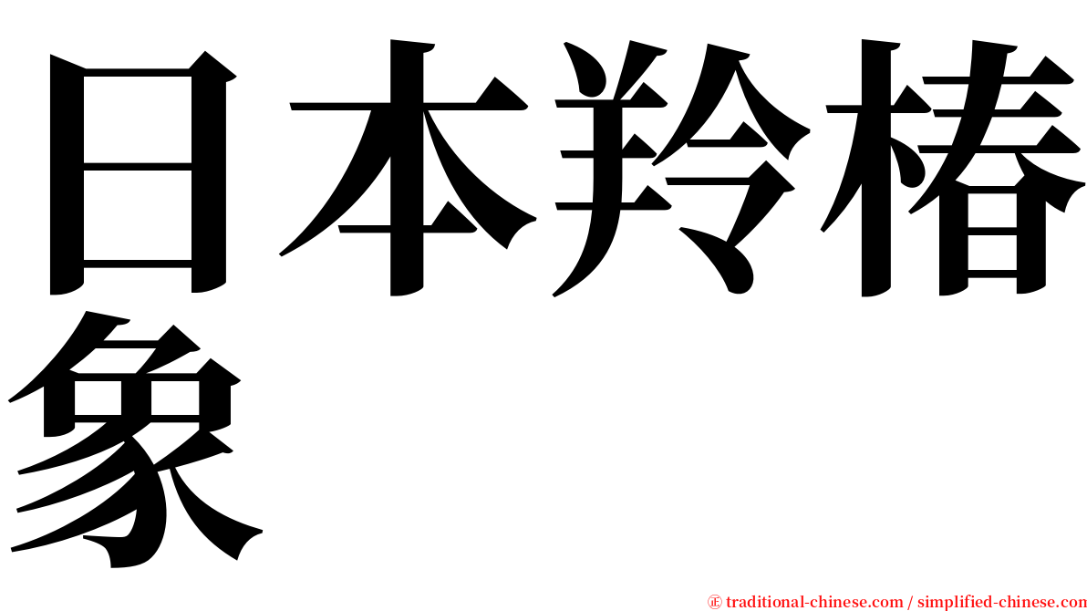 日本羚椿象 serif font