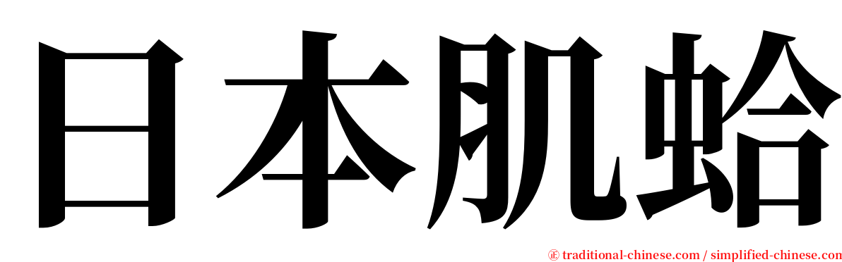 日本肌蛤 serif font