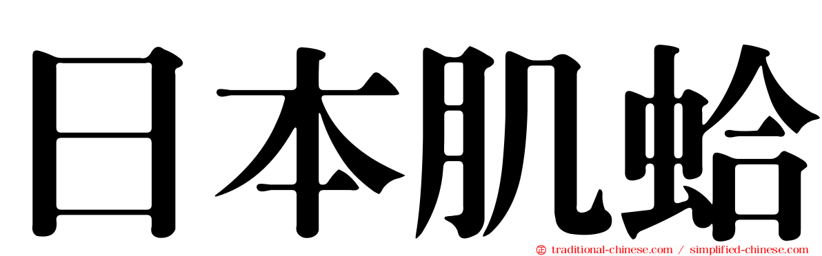 日本肌蛤