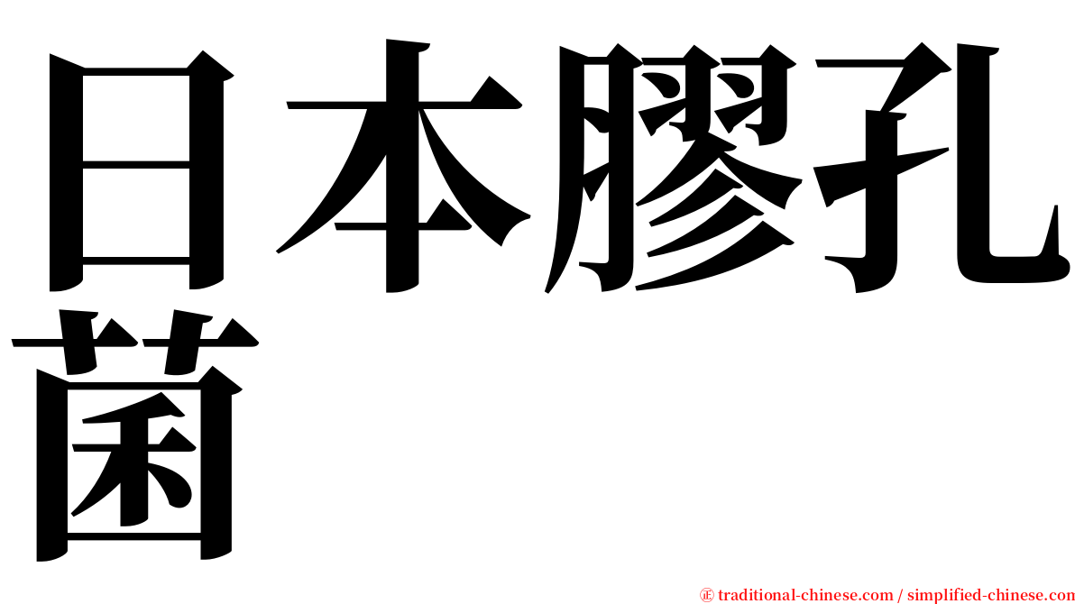 日本膠孔菌 serif font