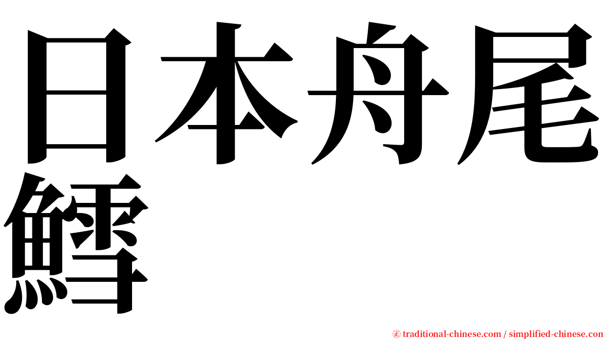 日本舟尾鱈 serif font
