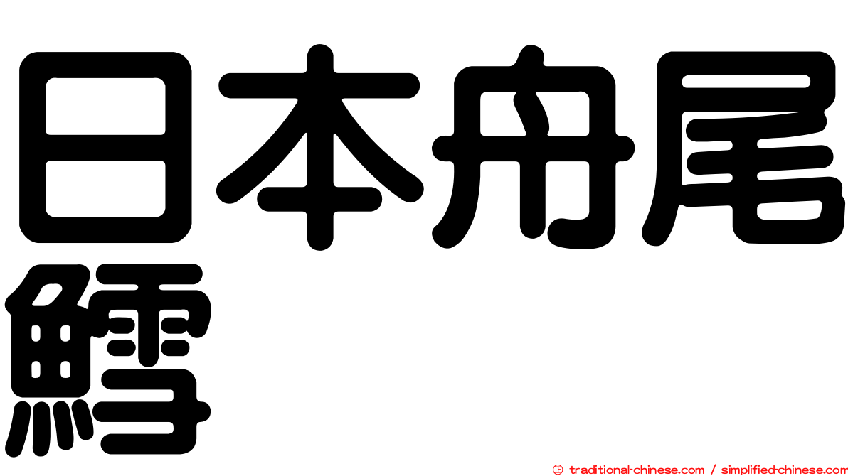 日本舟尾鱈