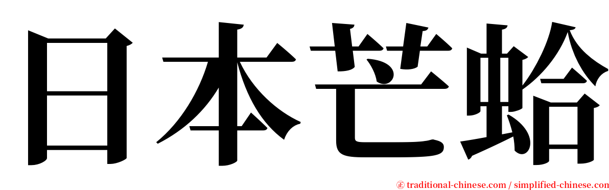 日本芒蛤 serif font