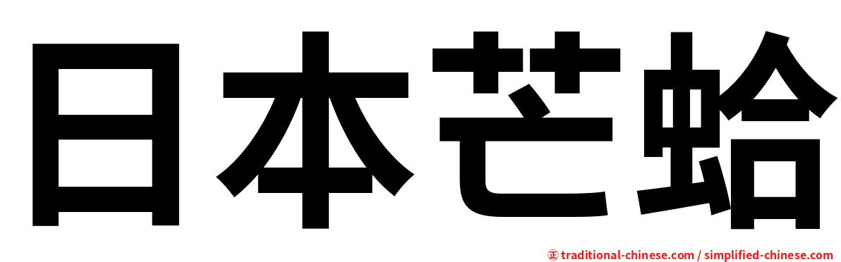 日本芒蛤