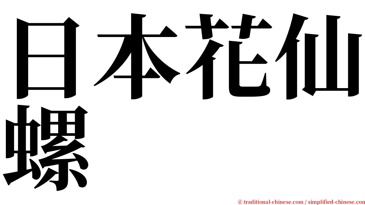 日本花仙螺 serif font