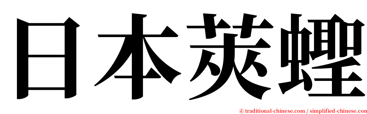 日本莢蟶 serif font