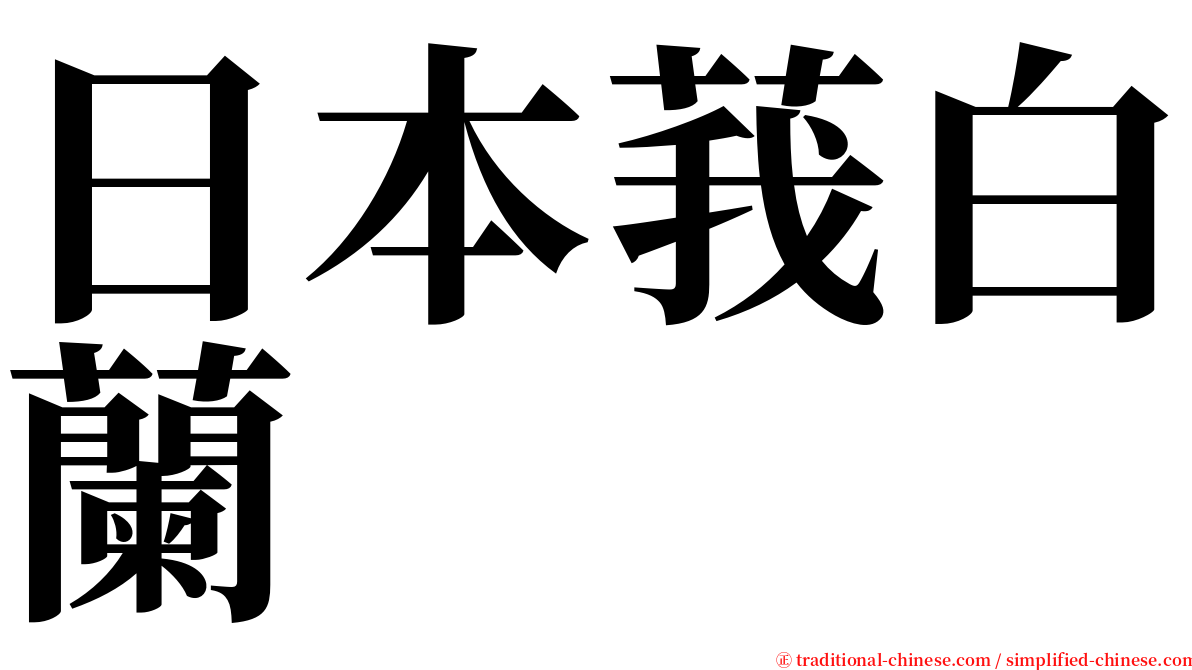 日本莪白蘭 serif font
