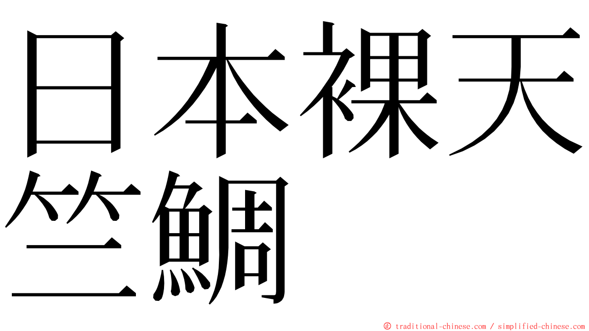 日本裸天竺鯛 ming font