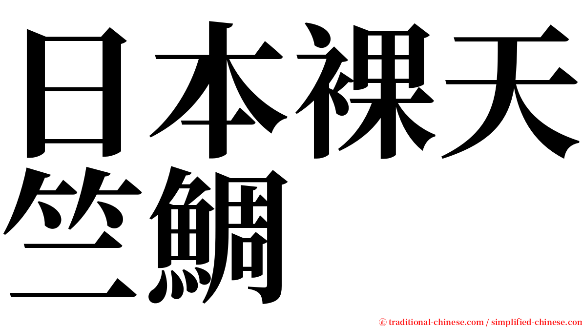 日本裸天竺鯛 serif font
