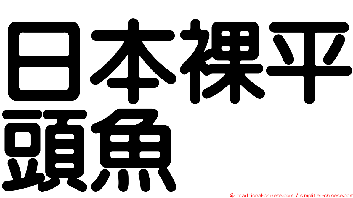 日本裸平頭魚