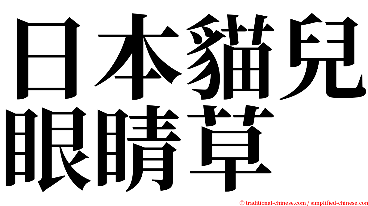 日本貓兒眼睛草 serif font